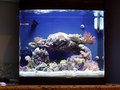 2010-02-18_sm2_thumb