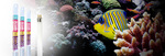 T5marinewhite_linearlamp_588x200_thumb