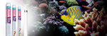 Marinewhite_linearlamp_588x200_thumb