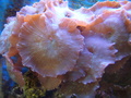 Dsc00869_thumb