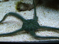 Dsc00157_thumb