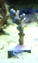 P3083277_thumb