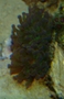 P3083286_thumb