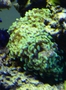 P3083285_thumb