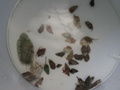2012-03-27_09