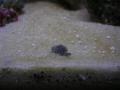 Dscn5516_thumb