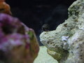 Nano_pics_021_thumb