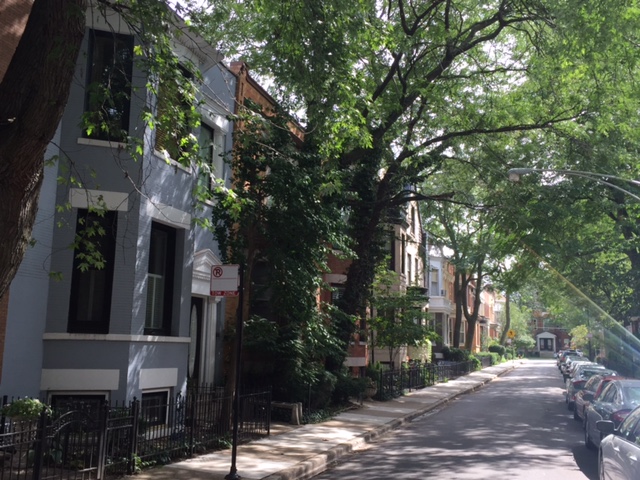 Grace Street Chicago