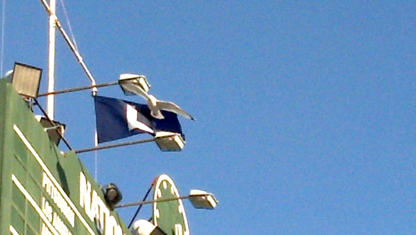 Cubs' W Flag
