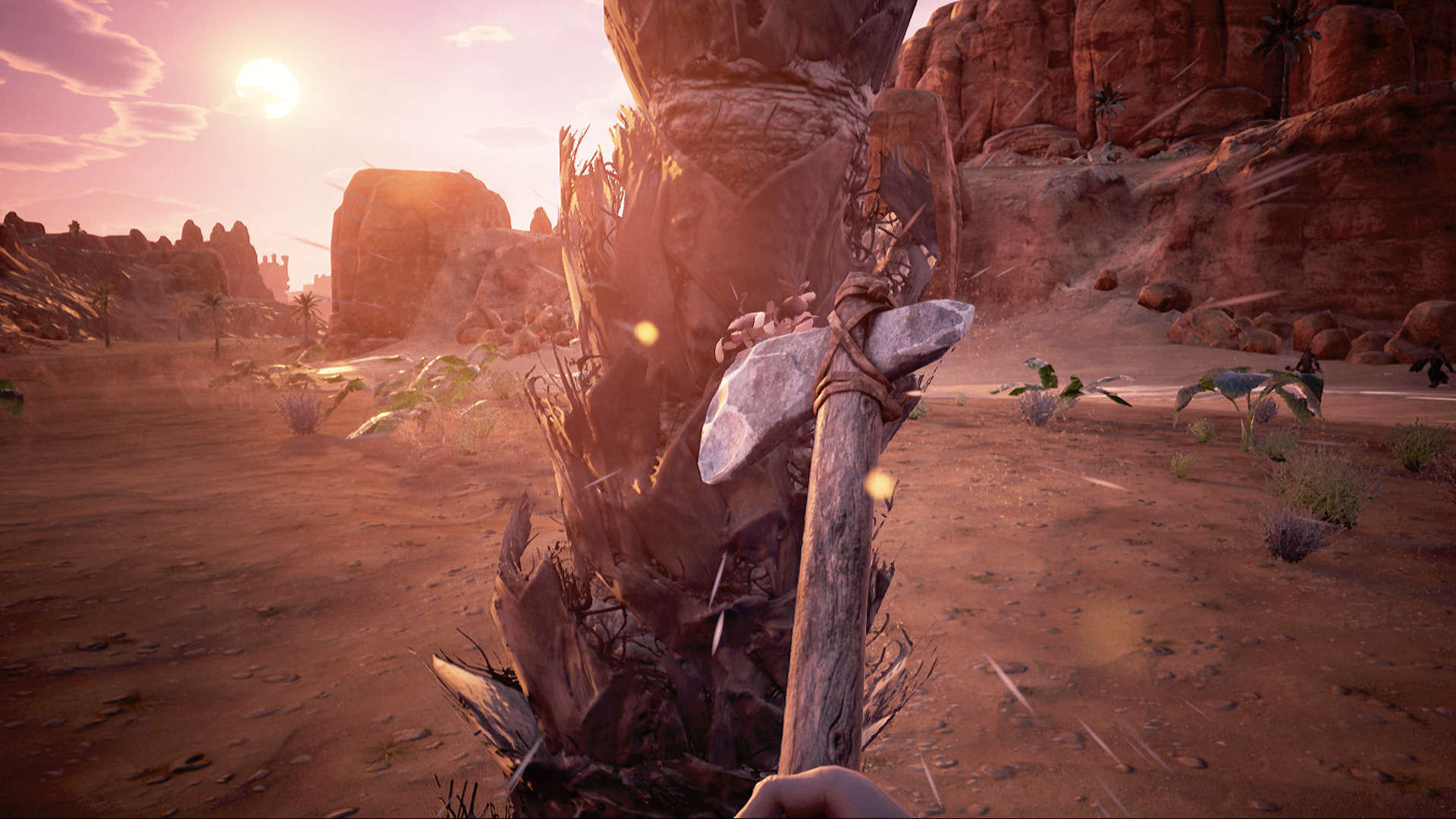 Used Conan Exiles Swappa