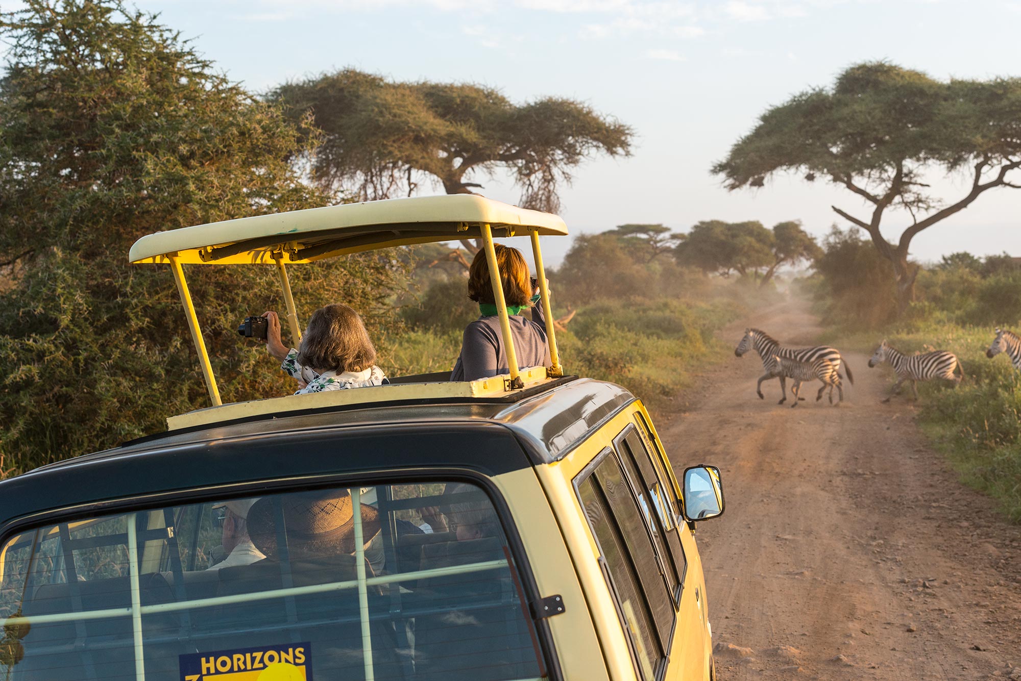 Crossing paths with a herd of zebra on a game drive in Aberdare National Park