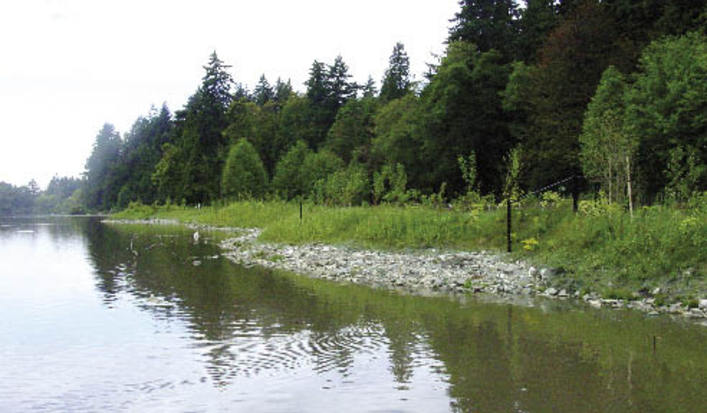 Stanleystormwater_lost_opt