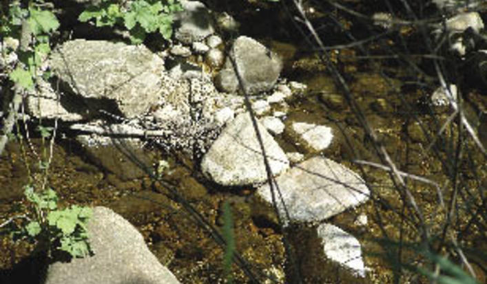 Thain_creek_8_opt