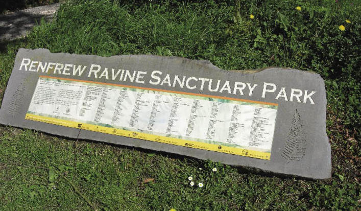 Urbanoasis_renfrew_rav_opt