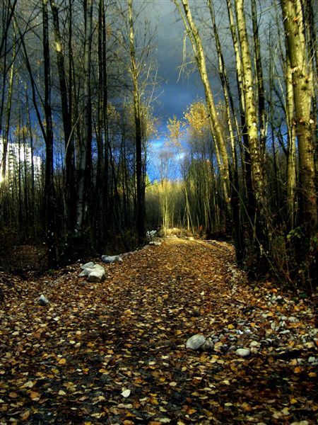 Suterbrook_9