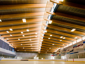 picture from Trout Lake Rink