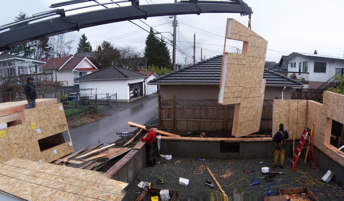 Panorama-crane_panel_large