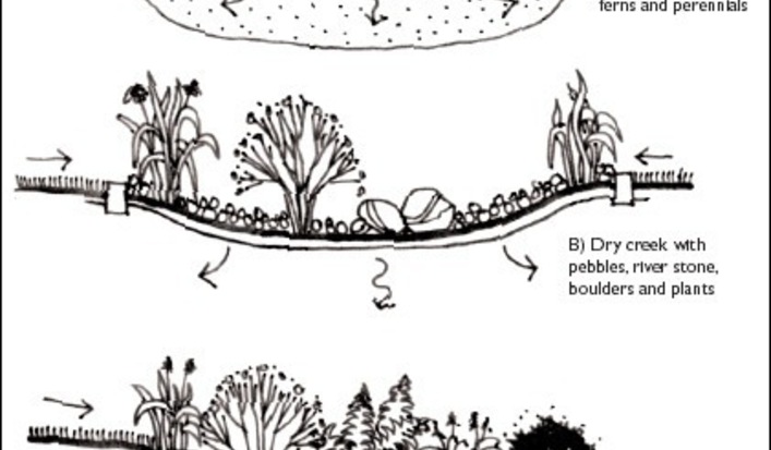 Rain_garden_variations