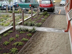 picture from Rain Gardens