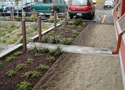 picture from Rain Gardens