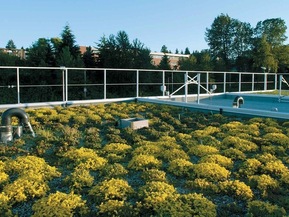 picture from Centre for the Advancement of Green Roof Technology