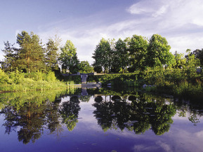 picture from Hastings Park Restoration