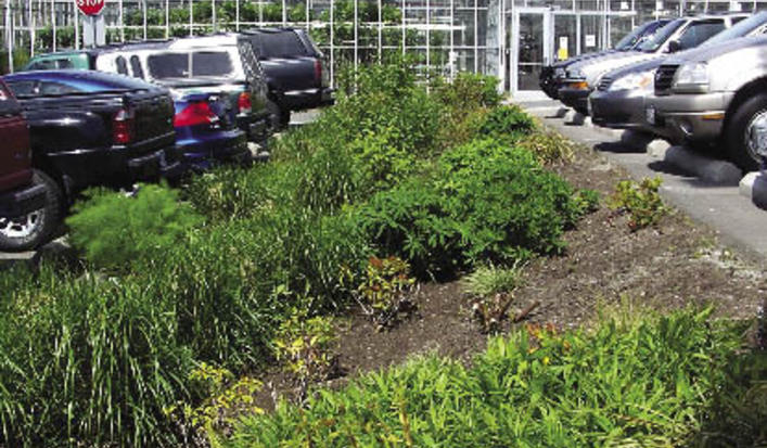 Stormwaterubc_picture__opt