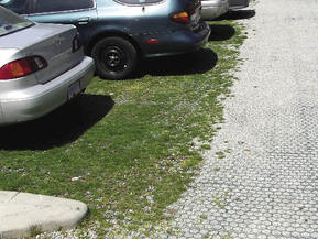picture from Stormwater Management at UBC