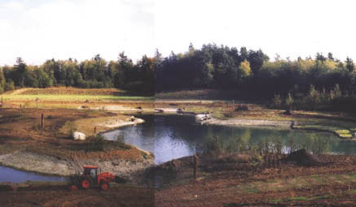 Aldergrove_panoramic_v_opt