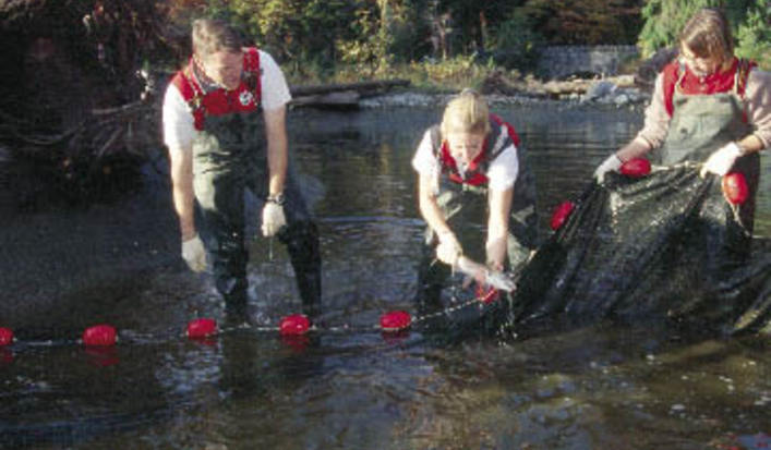 Bc_hydro_salmon_stream_opt