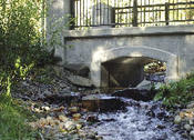 picture from BC Hydro Salmon Stream