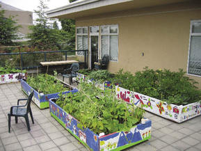 picture from Collingwood Neighbourhood House