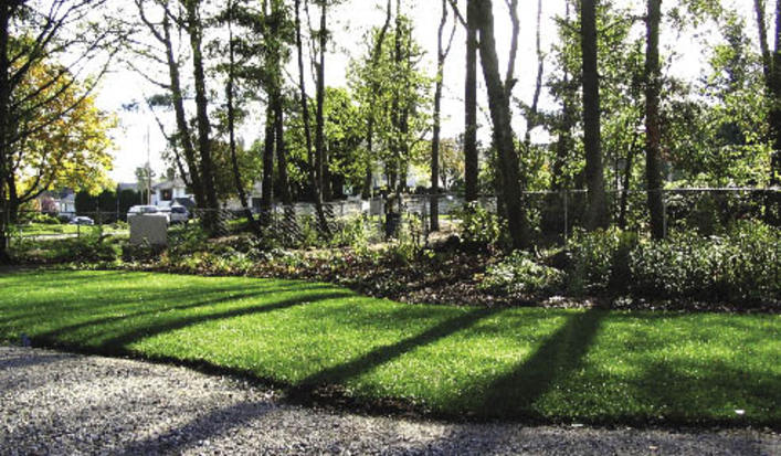 Earthwise_the_eco-lawn_opt