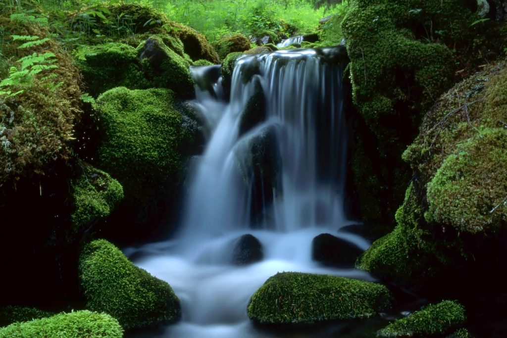 camping-flowing-stream-mossy-rocks