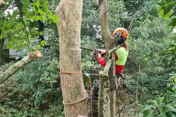 weeding and mulching services