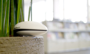 Koubachi_wi-fi_plant_sensor_loft