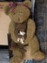 Large_teddy_thumb