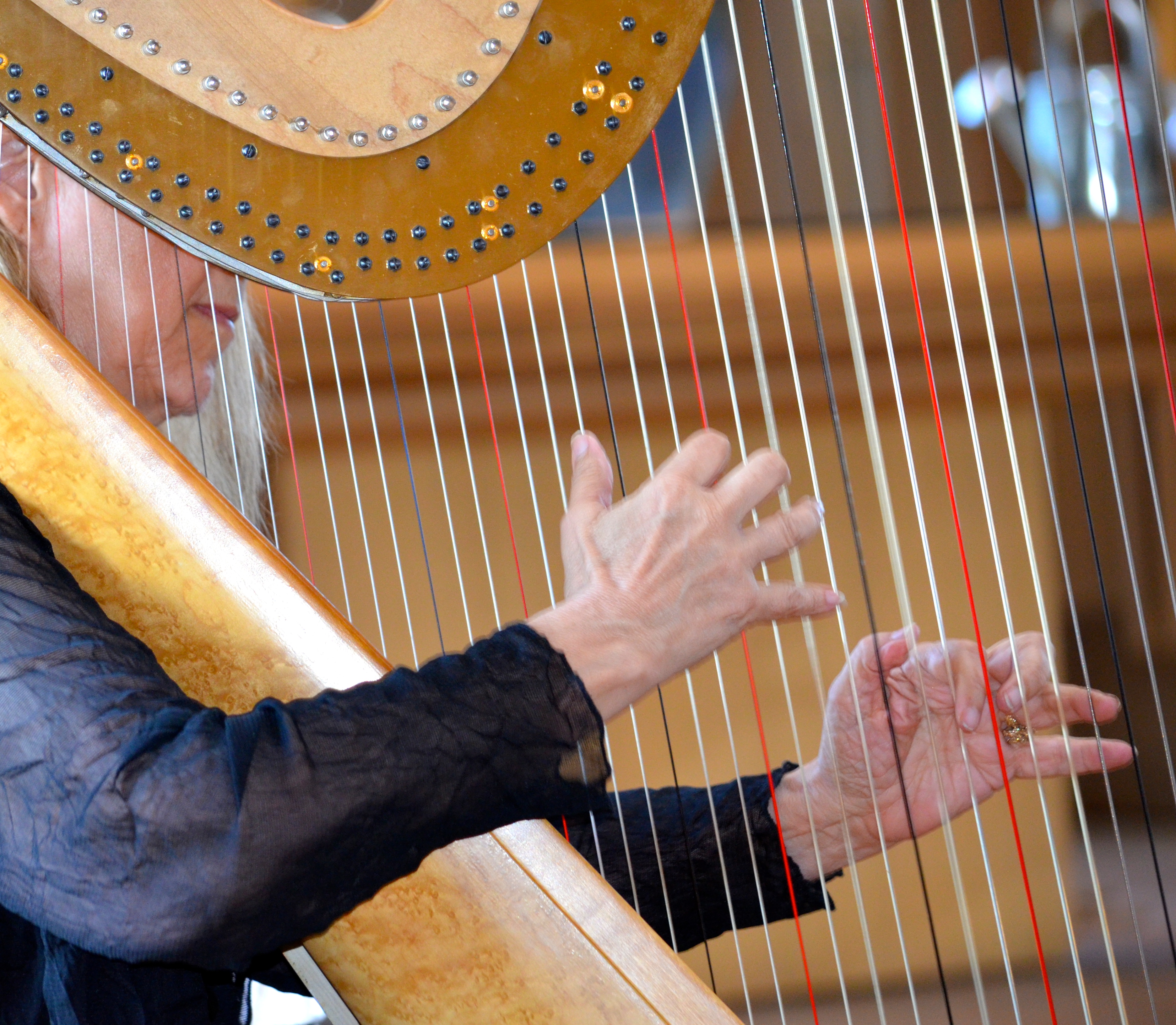 Hire Harpist Margaret Atkinson Harpist in Dallas, Texas