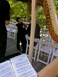 WEdding at the Japanese Gardens in Ft. Worth