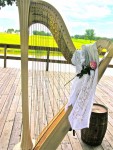 Country Western music on the Harp? Yep, sure enough!!