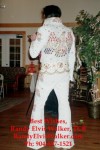 RAndy Elvis Walker on stage during a performance RAndy Elvis Walker on stage during a performance