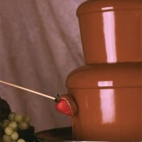 A Chocolate Celebration chocolate fountains - Party Favors Company in Florence, Kentucky