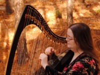 A Harp For All Reasons