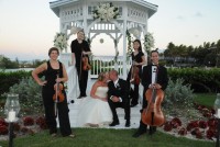 AA Musicians