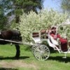 Abraham's Carriage Service