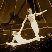 Acrobatic Entertainment Company - Aerialist in Santa Rosa, California