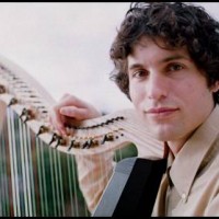 Adam Free, Harpist - Wedding Band in Santa Cruz, California