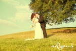 Chestnut Hill Mansion Wedding