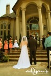 Book us for your next wedding
