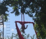 Silks at a picnic